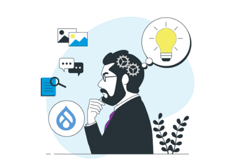 Hire Drupal Developer