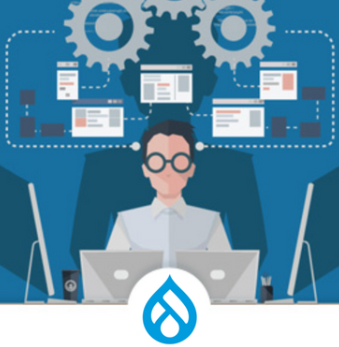 Hire Drupal Developer