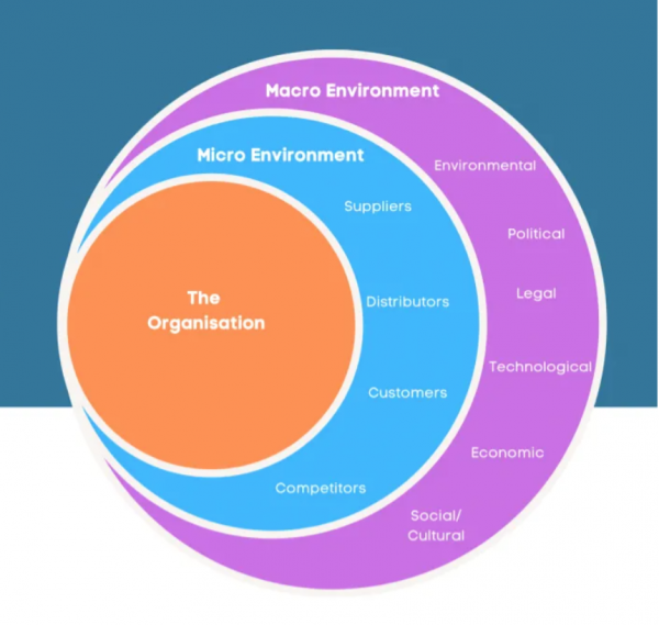 The Impact of Micro and Macro Environment Factors on an Organization in Chart