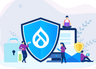 Drupal Security Audit