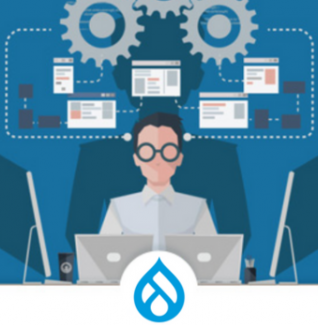 Hire Drupal Developer